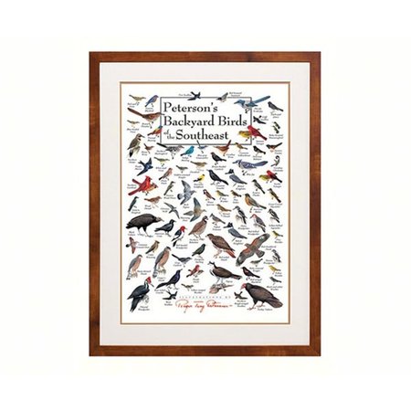 STEVEN LEWERS & ASSOCIATES Steven M. Lewers & Associates LEWERSBBSPT005 Peterson's Backyard Birds of Southeast Poster LEWERSBBSPT005